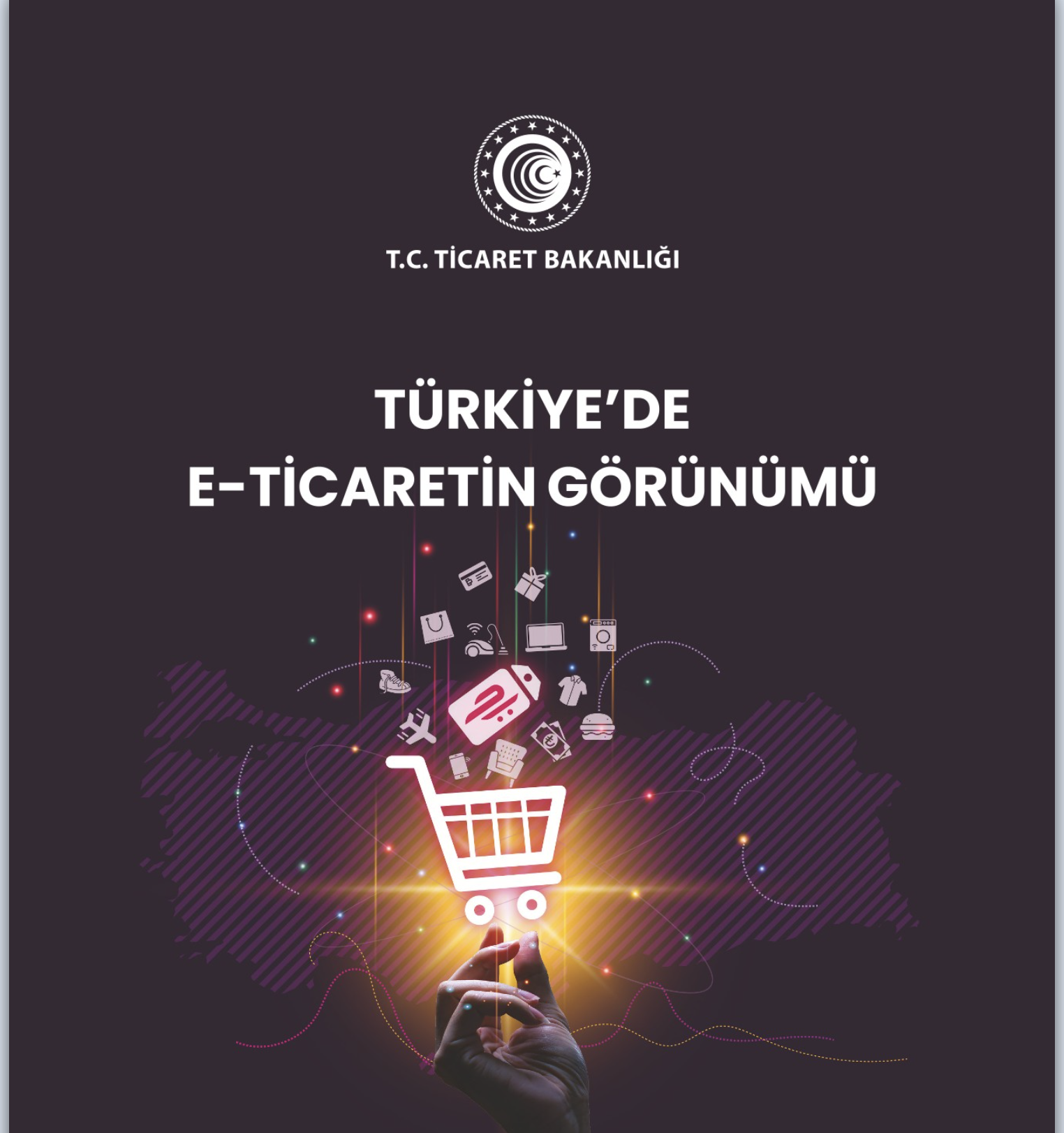 Türkiye'de E-Ticaretin Görünümü Raporu Yayımlandı